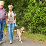 jubilados-paseando-perro